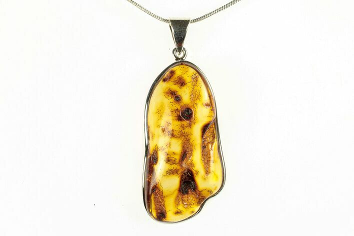 Polished Baltic Amber Pendant (Necklace) - Sterling Silver #279186